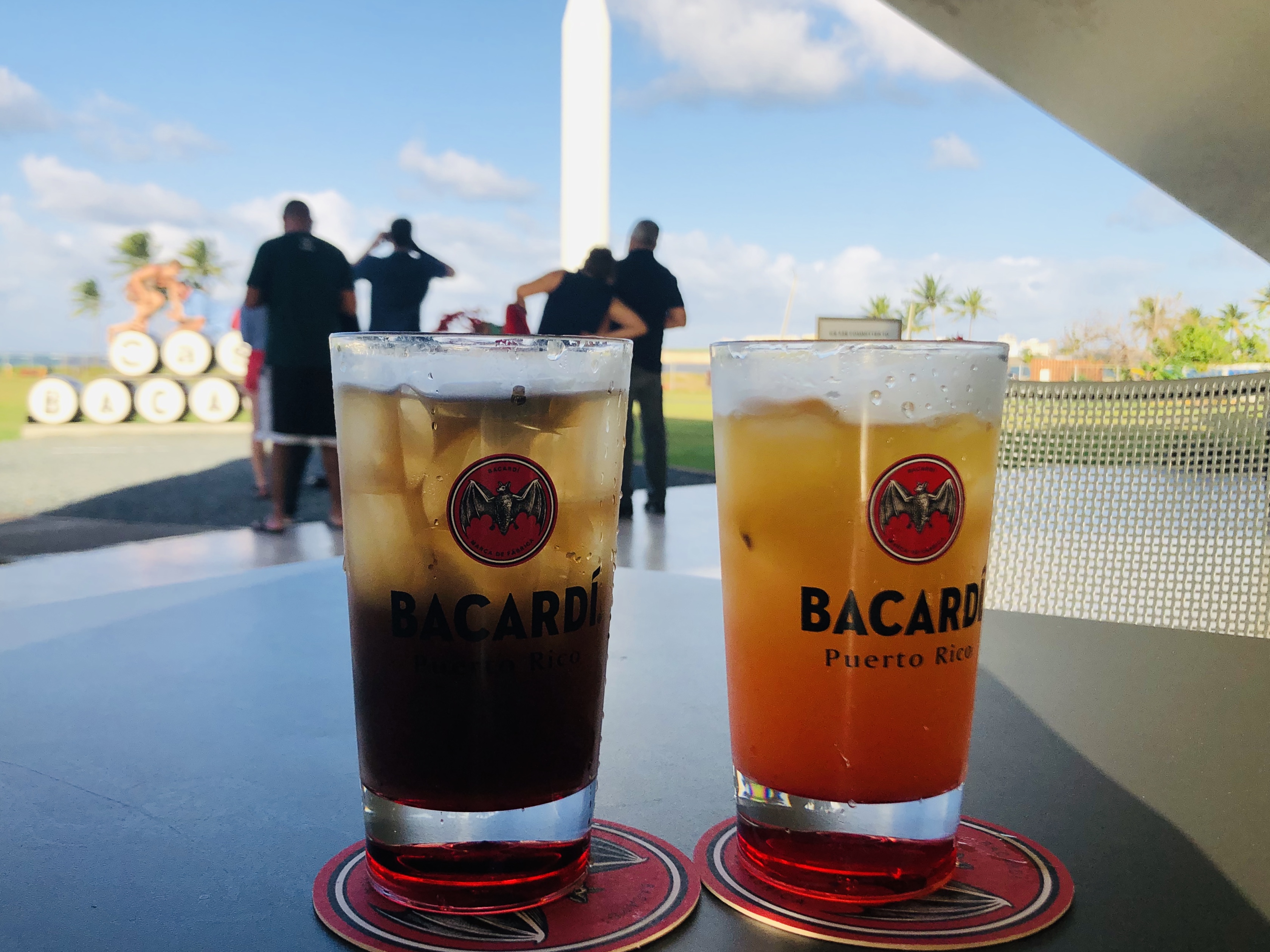 Bacardi